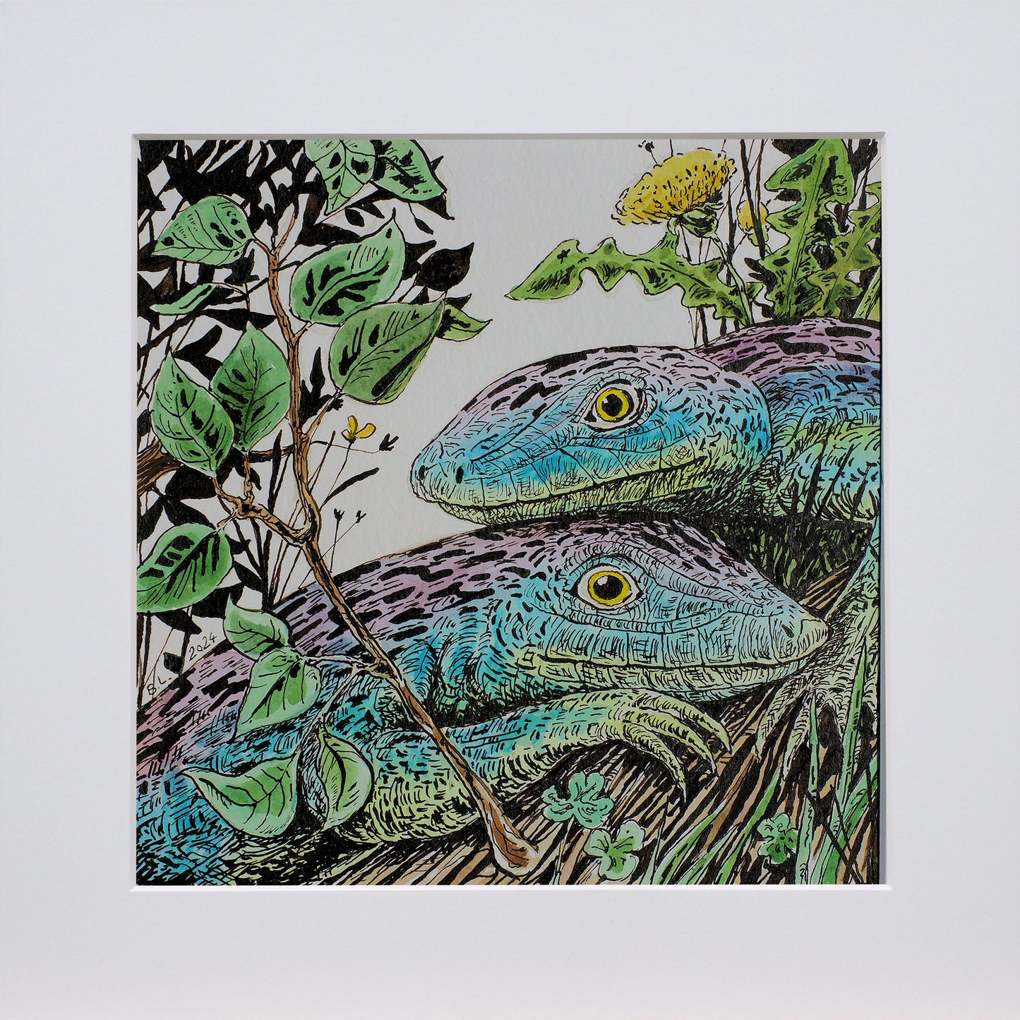 Lizards Life I