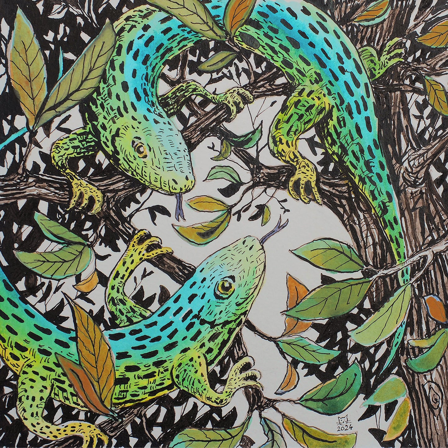 Lizards Life III