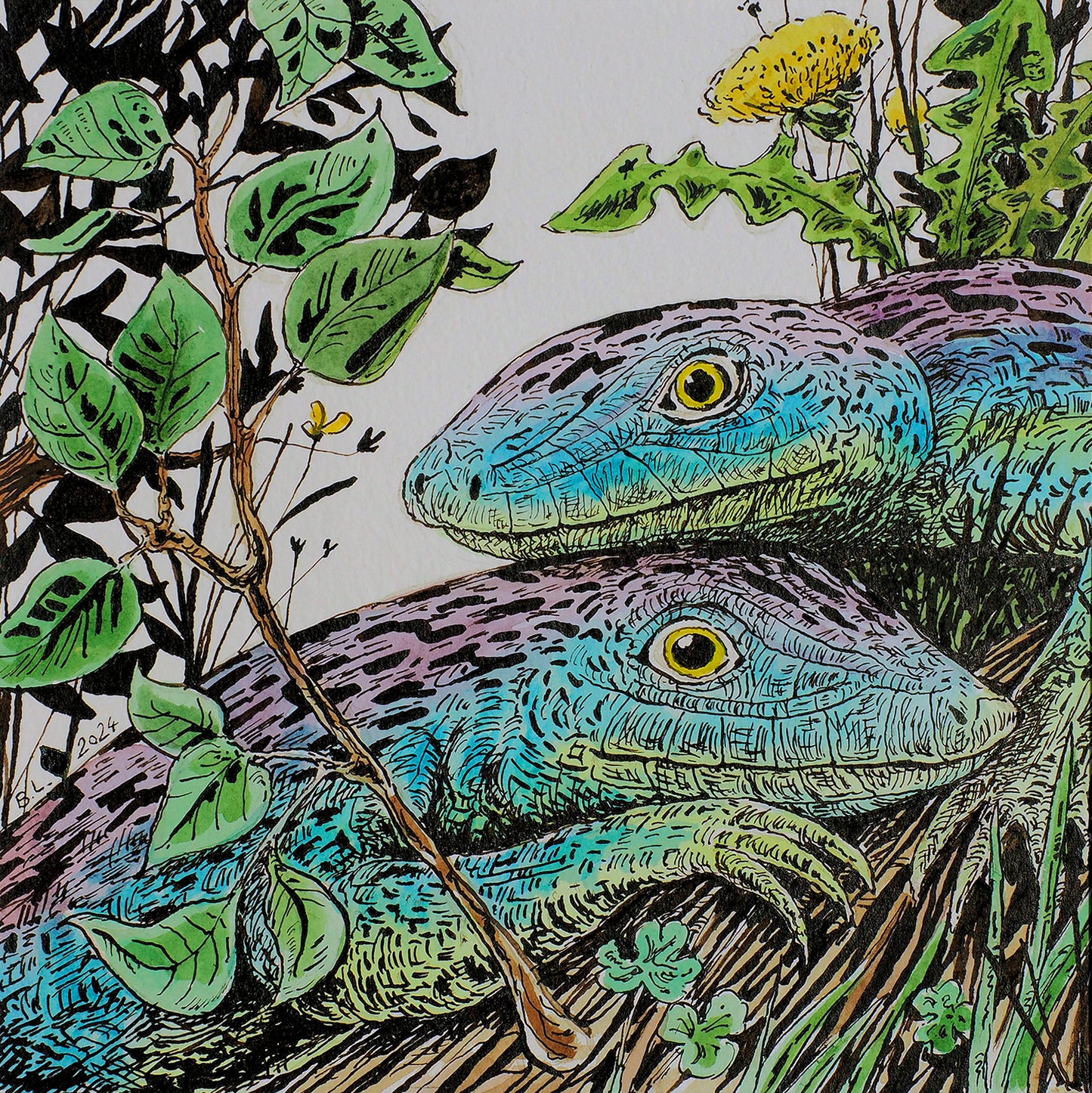 Lizards Life I